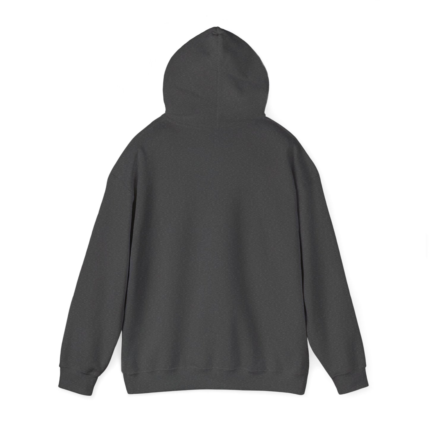NoBOTY Statement Hoodie, Casual Unisex Sweatshirt, Motivational Pullover, Perfect for Gifting, Everyday Wear, Trendy Fashion