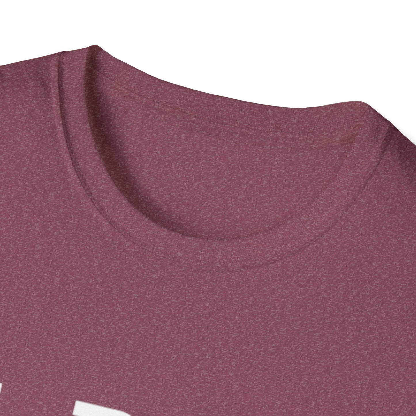 Unisex Softstyle T-Shirt with NBOTY Design, Casual Tee, Graphic Shirt, Gift for Him, Trendy Outfit, Everyday Wear