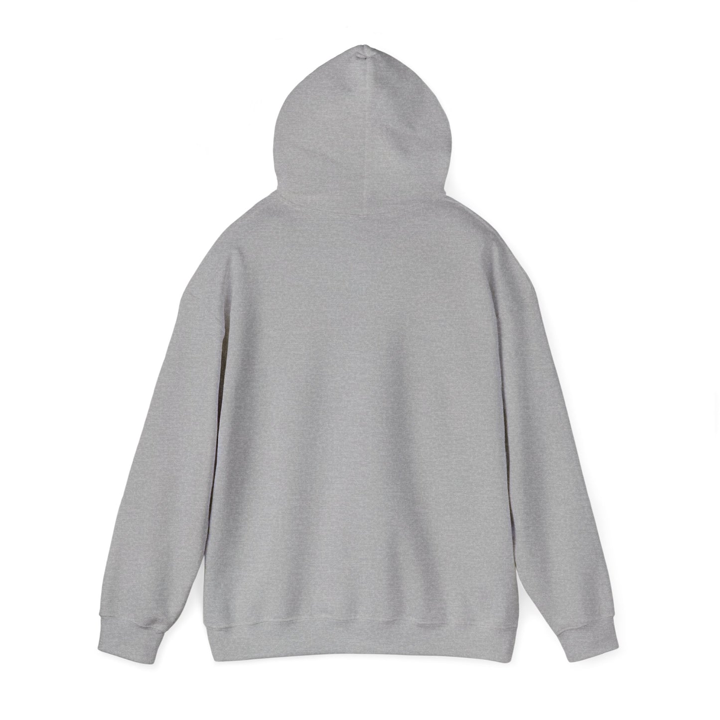 NoBOTY Statement Hoodie, Casual Unisex Sweatshirt, Motivational Pullover, Perfect for Gifting, Everyday Wear, Trendy Fashion