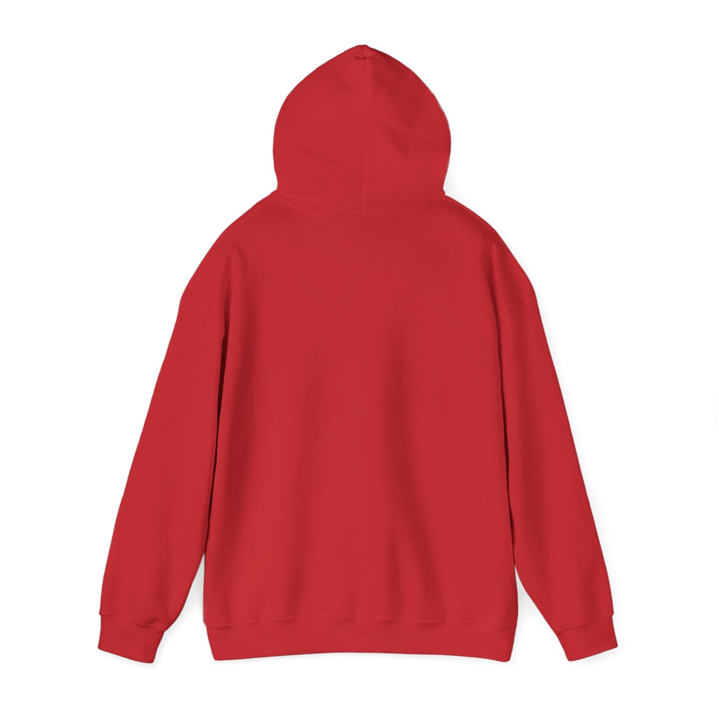 NoBOTY Statement Hoodie, Casual Unisex Sweatshirt, Motivational Pullover, Perfect for Gifting, Everyday Wear, Trendy Fashion